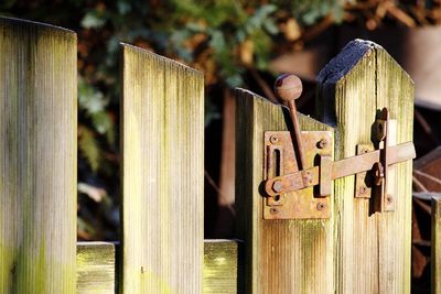 Close-up of wooden fence