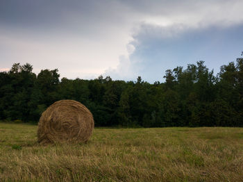 Hay bales on field against sky