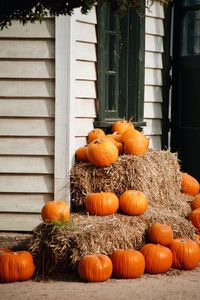 Pumpkins on hay during autumn