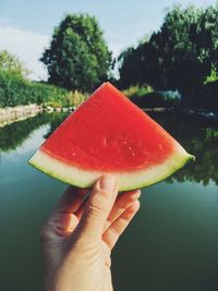 Close-up of hand holding watermelon