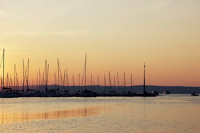 Sailboats in marina at sunset