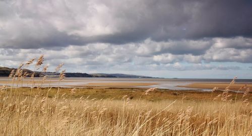 View of field against cloudy sky