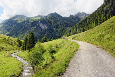Narrow footpath leading towards mountains