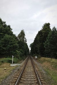 Railroad track passing through trees