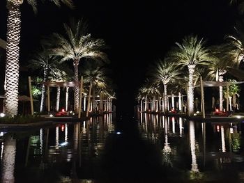 Reflection of illuminated buildings in water