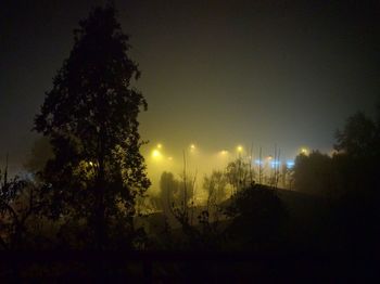 Trees against sky at night