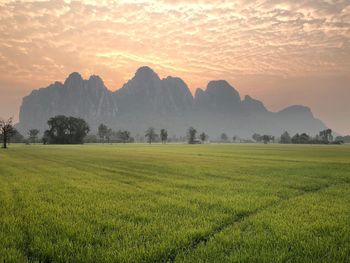 Scenic view of field against sky during sunset