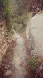 Full frame shot of wet tree