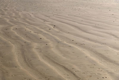 Full frame shot of sand dune