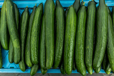 Zucchinis for sale at market