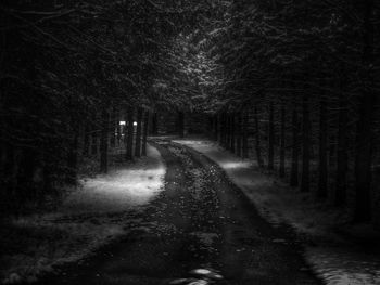 Road amidst trees against sky at night