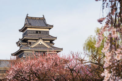 Low angle view of cherry blossoms against sky