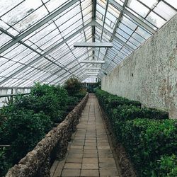 Walkway leading towards building