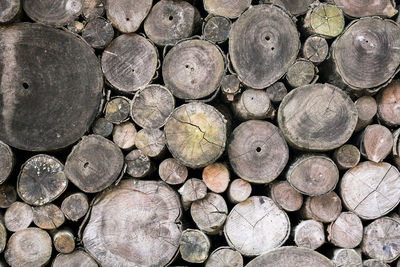 Full frame shot of logs in forest