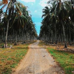 Scenic view of road against sky