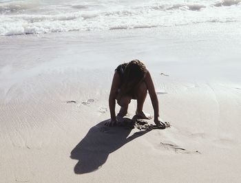 Dog standing on shore