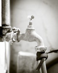 Close-up of water pipe