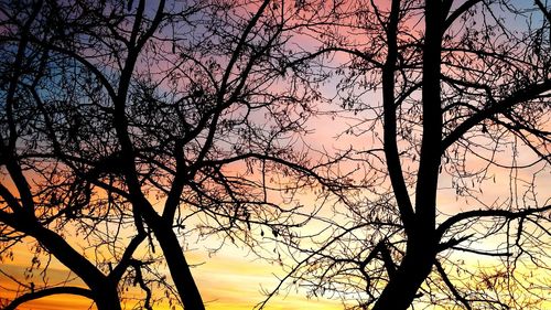 Low angle view of silhouette tree against sky during sunset