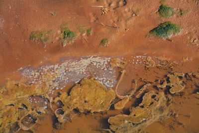 Detail shot of muddy surface