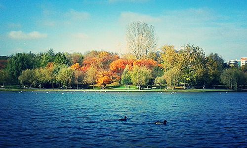 Scenic view of lake by trees against sky