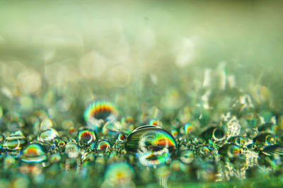 Close-up of water drops on glass
