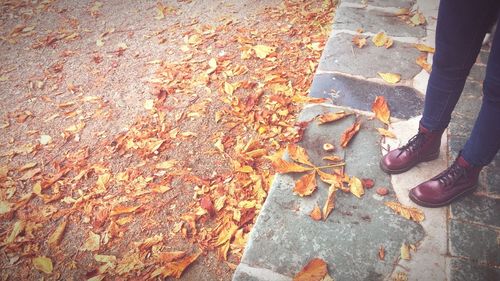 Low section of woman standing on autumn leaves