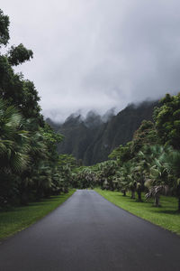 Empty road amidst trees against sky