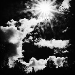 Low angle view of trees against sky