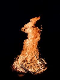 Close-up of bonfire against black background