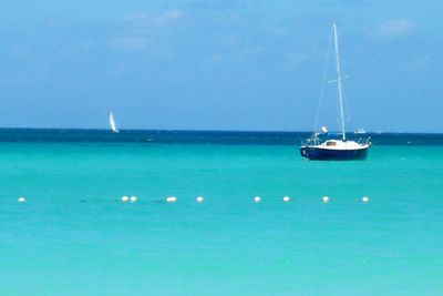 Sailboats sailing in sea against clear sky