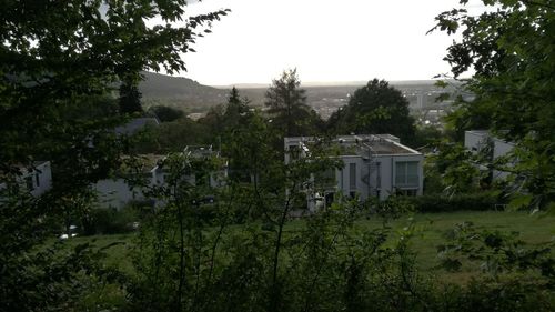 House with trees in background