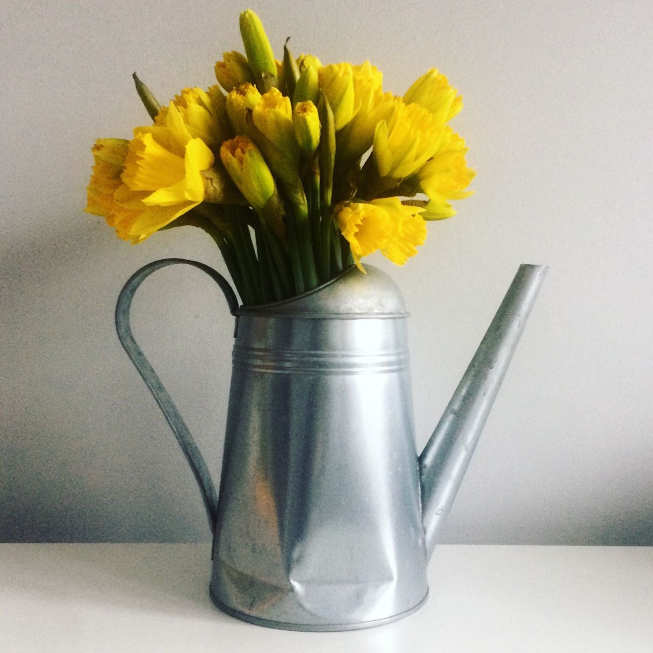 CLOSE-UP OF SUNFLOWERS ON TABLE