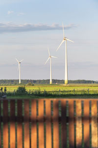 Windmills on field against sky