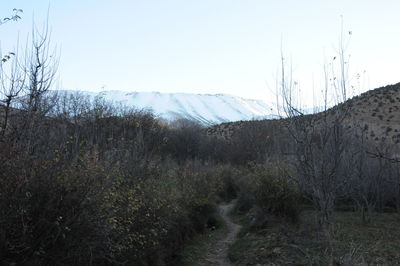 Scenic view of snowcapped mountains against clear sky