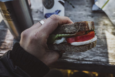 Hand holding sandwich