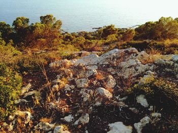 Scenic view of rocks by sea against sky