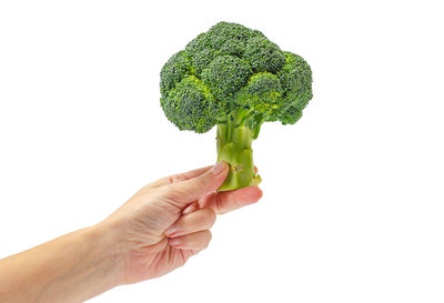 broccoli