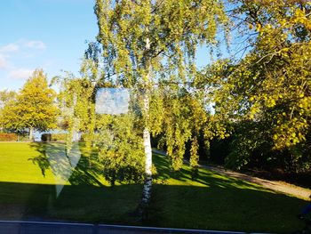 Trees by lake against sky during autumn