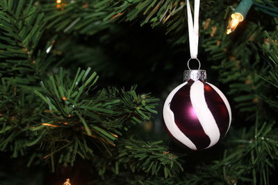 Close-up of christmas bauble