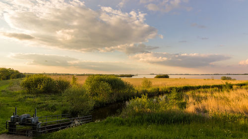 Scenic view of field against sky during sunset