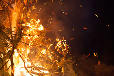 Close-up of fire crackers at night