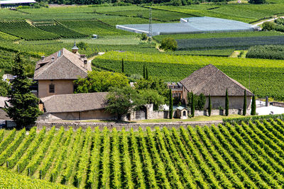 House on field against houses and buildings
