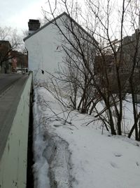 Snow covered road amidst bare trees and buildings against sky