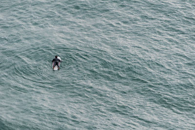 High angle view of man in sea