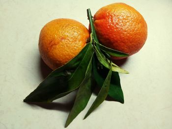 Close-up of oranges