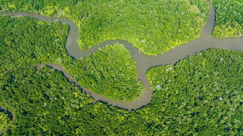 High angle view of water