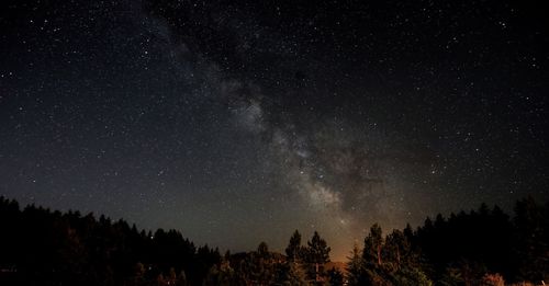 Low angle view of silhouette trees against star field at night