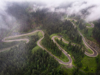 Aerial view of road by trees