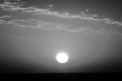 View of bird flying in the sky