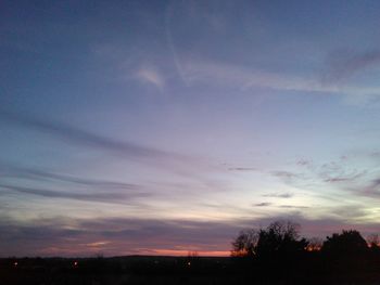 Silhouette of trees at sunset